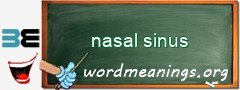 WordMeaning blackboard for nasal sinus